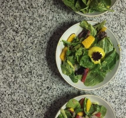 Book Review ~  Provisions ~ The Roots of Caribbean Cooking