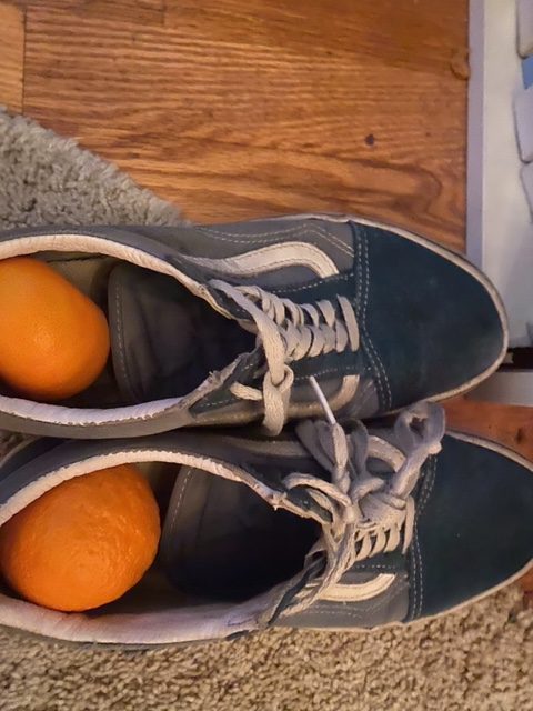 Orangery reminded. From St. Nicks Tangerine to Grandma Ella’s Orange Marmalade