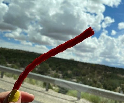Road Trip … ‘for the scenery, but also the food’ part 2