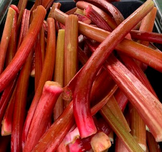 Summer Time is Rhubarb Time
