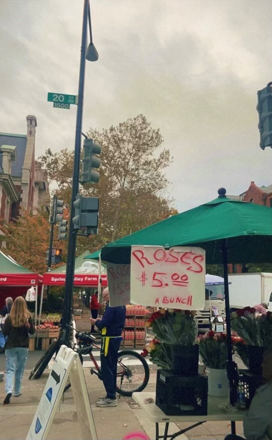 Travel Eats – October in DC at the Farmers Market