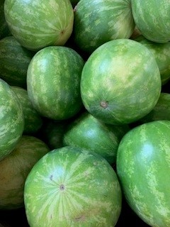 Watermelon