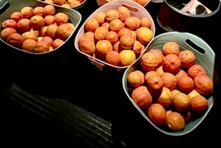 A Family Tradition: The Scent of Orange