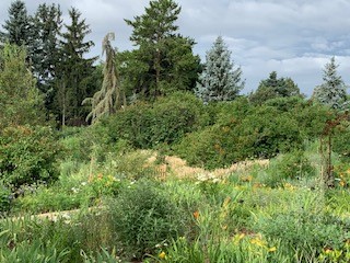 Notes from the Garden – Explore