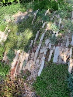 Notes from the Garden
