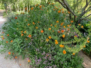 Notes from the Garden. Carbs