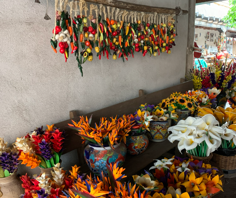 Notes from the Garden: Chef G Writes About the Carbohydrate Paradox